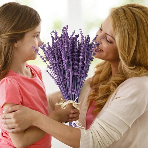 Dried Purple Lavender Flowers Bundle-Dried Preserved Lavender Bouquet 15-17 for - Picture 2 of 5