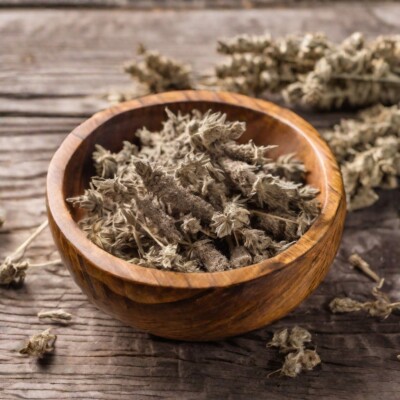 Motherwort Herb, c/s (Leonurus cardiaca) herbal remedy quality USA