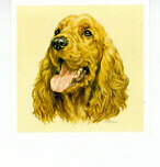 English Cocker Spaniel Gold Miniature Art Pri...