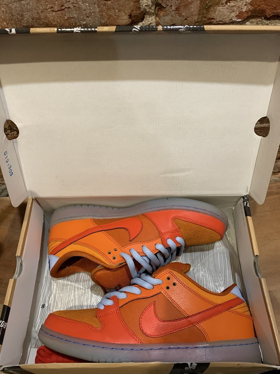 Size 10 - Nike Dunk Pro SB Low Fire & Ice | eBay