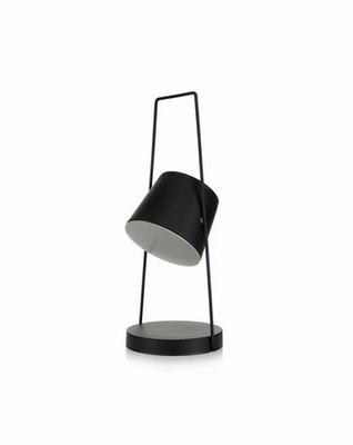 Garten Solar-Leuchte Spotlight schwenkbar RGB & warmweiß USB-C Ladeoption Garden