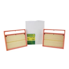 Mann Engine Air Filter Set C 25 110-2
