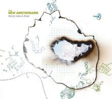 Story Like A Scar von The New Amsterdams | CD | Zustand sehr gut