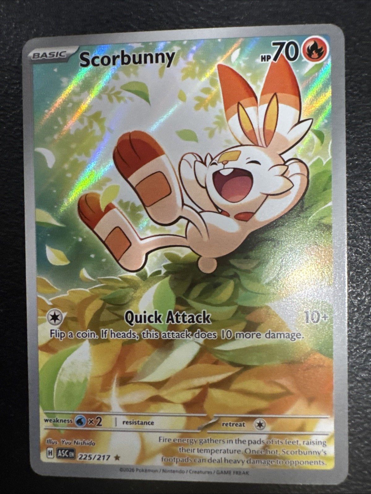 Scorbunny 225/217 Holo Illustration Rare Ascended Heroes Pokemon TCG B