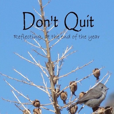 Don't Quit: Reflecting, at the end of the year by C. Mahoney (English) Paperback