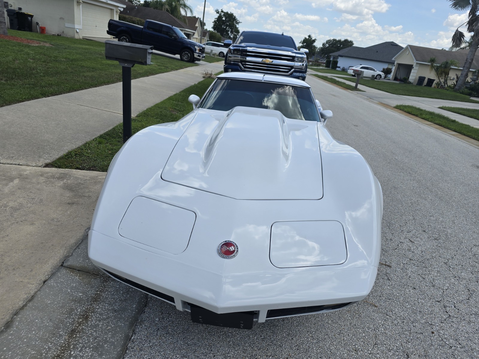 1974 White Chevrolet Corvette   | C3 Corvette Photo 2