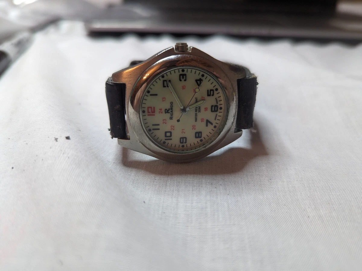 Ricardo Men s Stainless Watch Water resistant Japan Movt Working OEM Band