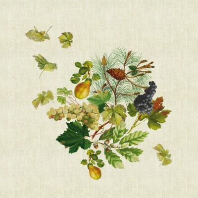 Mille Delices natural Napkin in printed Linen (grapevines and more)