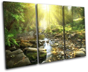 Woodland River Stream Forest Landscapes Treble Canvas Wall Art Picture Print Ebay