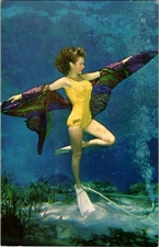 Spring Hill Florida FL : RISQUE - WEEKI WACHEE TOURIST ATTRACTION d/13 BH3976