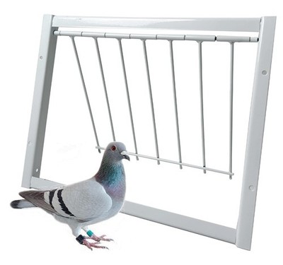 Pigeon Trap Loft Door with Steel Frame, Doors Rust White 