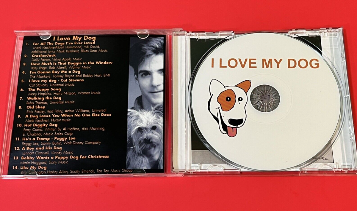 HOT Music Lost Dog Song I Love My Dog Song Lyrics My Lost Dog