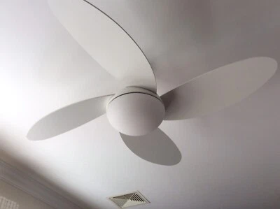 Mercator Rosebery Ceiling Fan With Light Globe Other