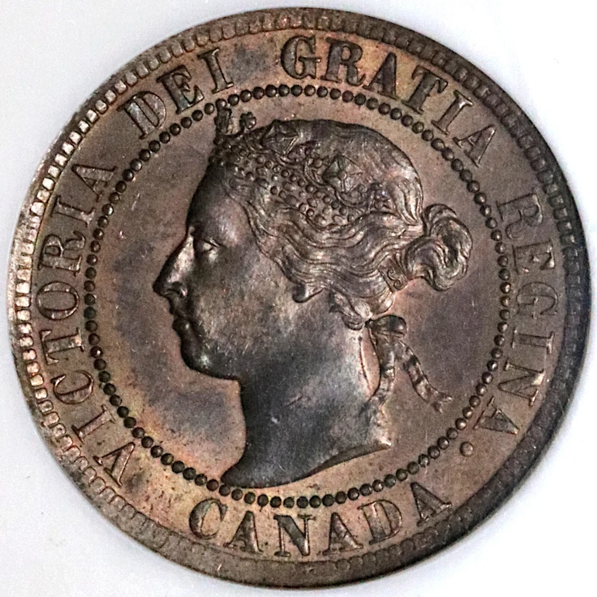 1901 NGC MS 63 RB Canada 1 Cent Victoria Mint State Fatty Holder Coin (22100901C