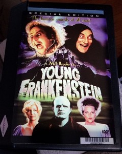 BLOCKBUSTER  PLASTIC MOVIE LOBBY CARD 5 1/2 by 8" YOUNG FRANKENSTEIN mel brooks