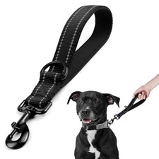 Laisse robuste pour chien - Laisse de transport et de contrôle de l'entraînem...
