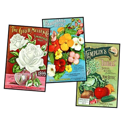 3 Garden Seed Pack Postcard Images, 3.5'' x 5.5'', DIY STICKERS, REPRODUCTIONS