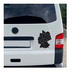 Foto 2 di 5