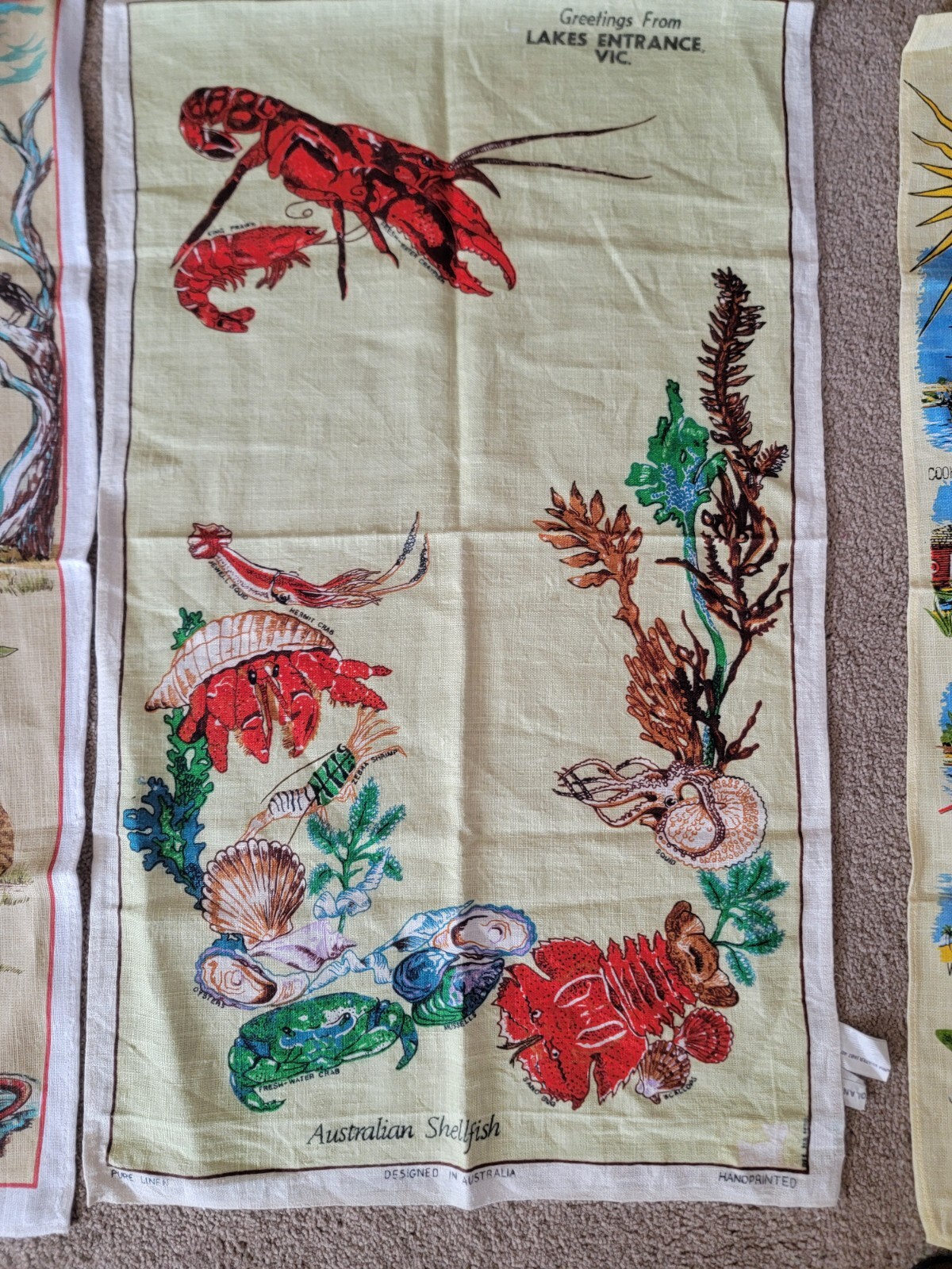 Picture 4 of 5