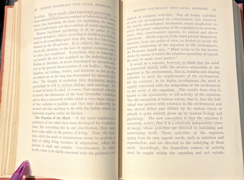 Sociology and Modern Social Problems Charles A Ellwood 1910 Hard Cover Rare READ - Foto 15 di 19