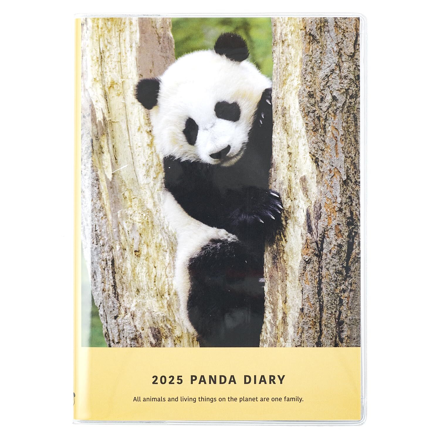 Panda Notebook 2025 B6 Yellow CD-1309-PA