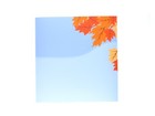 Bild 4 von 4
