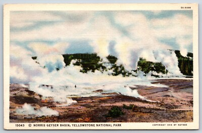 #ad Postcard Norris Geyser Basin Yellowstone National Park Unposted $4.90