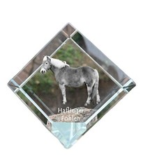 Haflinger Poulain - Kristallwürfel Avec Image de Cheval,Cheval En Cristal,Sechse