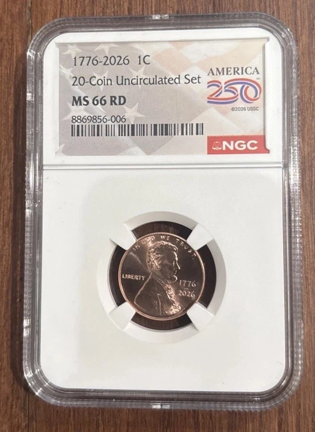 【最終値下げ】NICENESS FAT SNN COIN CASE 25+ NGC Certified US Small Cents for sale | Updated Oct 2026