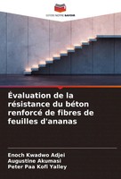 ÉValuation De La RéSistance Du BéTon Renforcé De Fibres De Feuilles D'ananas