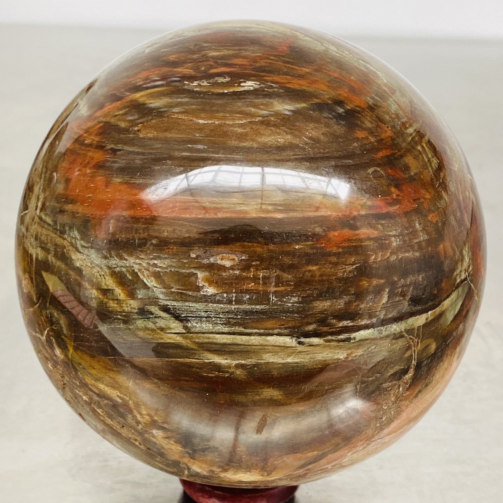 Natural Petrified Wood Polished Stone Quartz Crystal Sphere Ball Healing 2000G