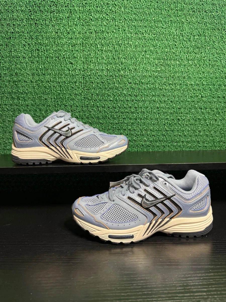 シルバーレザー Nike Air Pegasus 2K5 Ashen Slate W for sale | eBay