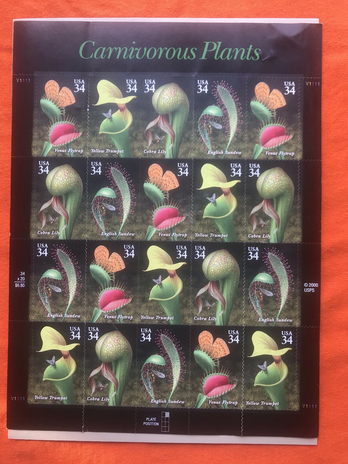 Picture 1 of 1