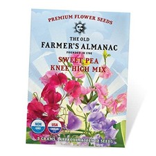 Sweet Pea Seeds (Knee High Mix) - Approx 10 Flower Seeds - Premium Non-GMO,