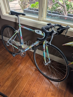 #ad Land Shark steel road bike. Custom. Pick up only. $1000.00