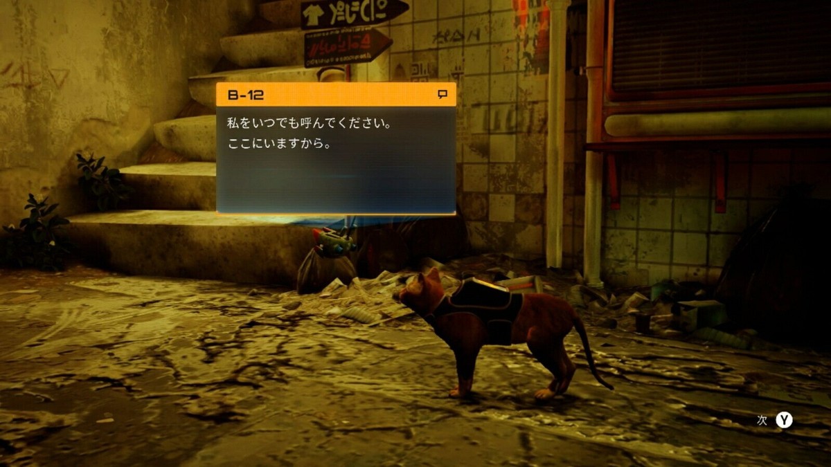 Stray Collector's Edition Switch パッケージ版 Stray Collector's Edition (Nintendo Switch game) Japan