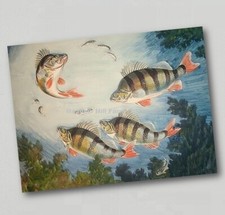 Fridge Magnet Perch Mr Crabtree goes Fishing Coarse Freshwater Fish