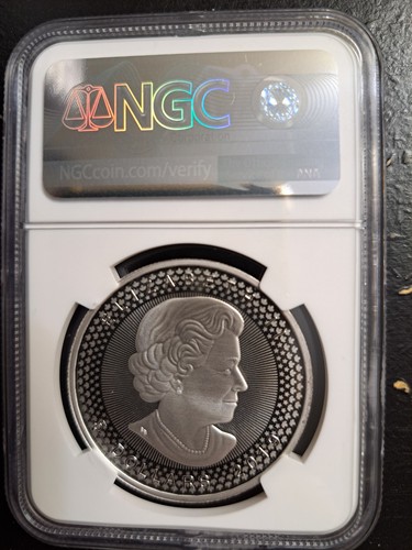 2019 CANADA SILVER MAPLE LEAF FDI MODIFIED PROOF NGC PF70 PRIDE TWO ...