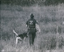 Policía K9 Cuerpo Miami Florida 1974 fotógrafo Albert Coya perro campo foto 8X10