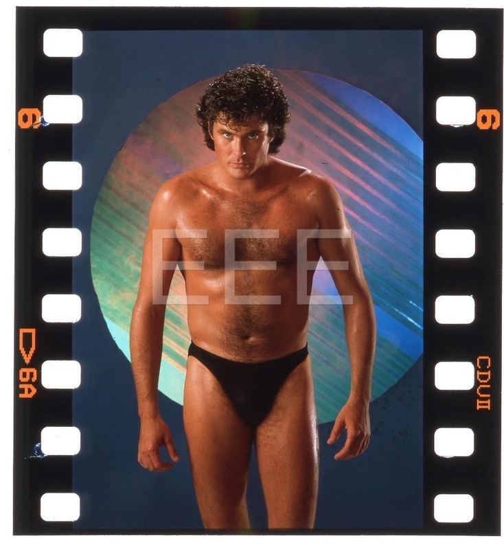 David Hasselhoff Beefcake TV Movie Actor Harry Langdon Transparency Q318