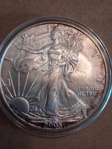 2005 American Silver Eagle, encapsulated BU (GV0028)