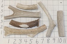 6 1 Deer Antler Dog Chew Treats Crafts