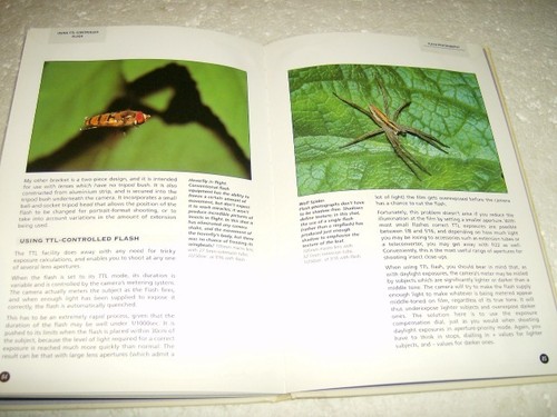 PHOTOGRAPHING BUTTERFLIES AND OTHER INSECTS - Picture 3 of 8