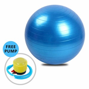 gym ball ebay