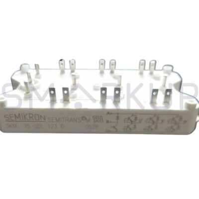 New In Box SEMIKRON SKM75GDL123D Power Module