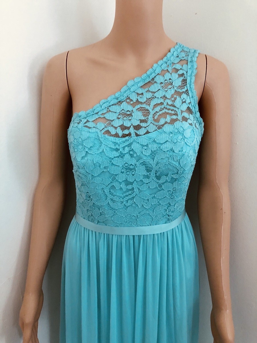 david's bridal long one shoulder lace bridesmaid dress Formal F17063 Maxi fog