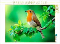 Calvendo Puzzle Robin - A Little Singer In The Greenery | 2000 Pieces, Finished