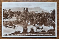 1956 Wiston showing Chanctonbury Ring Sussex Real Photograph Postcard RPPC