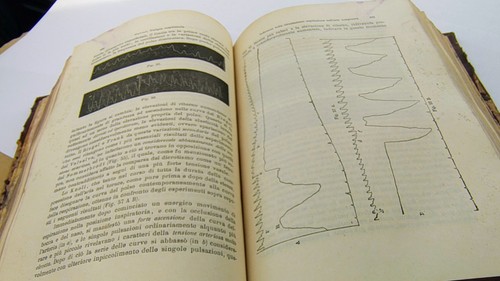 Respirazione Circolazione Ziemssen - 1889 Manuale terapia generale. - Foto 9 di 9