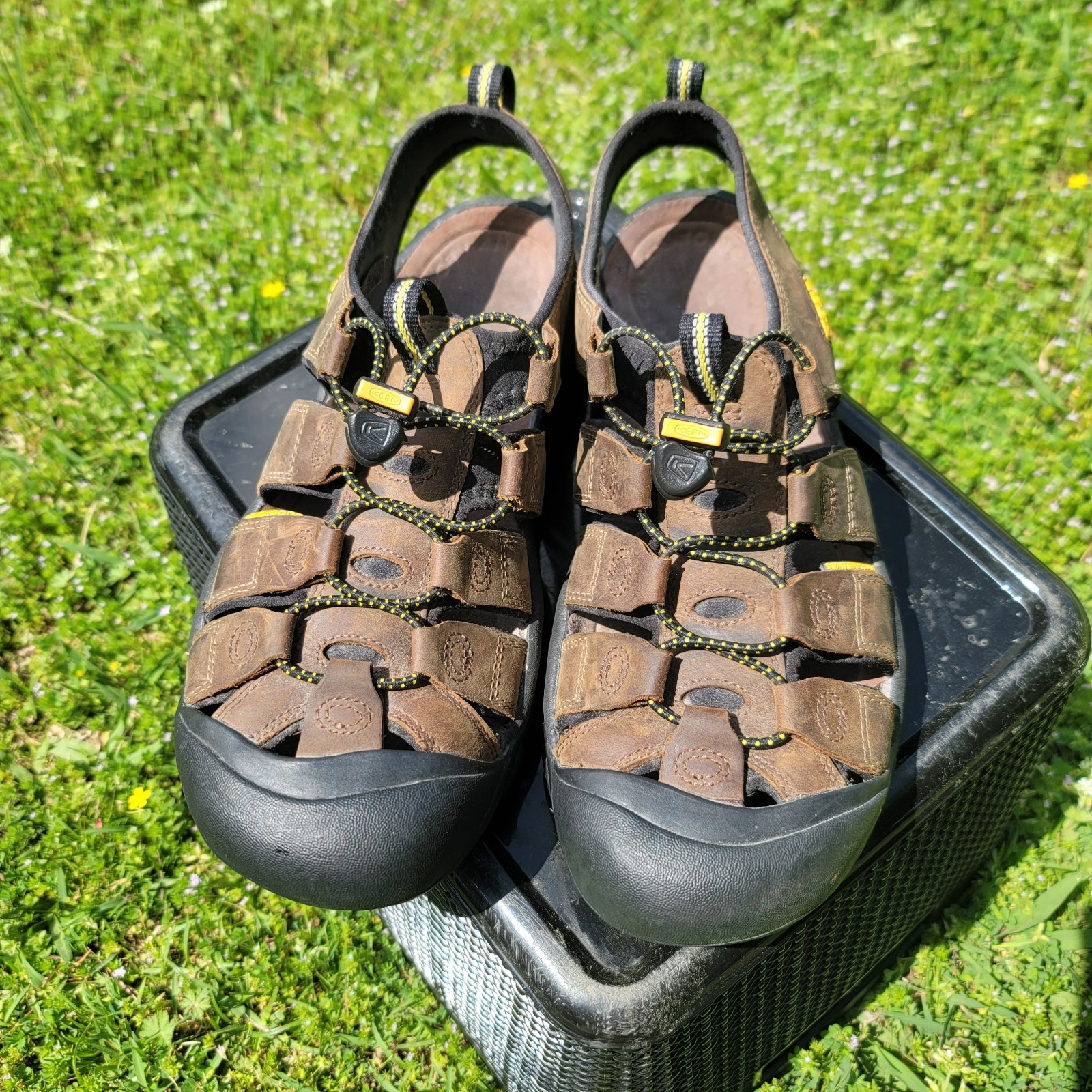 Sandali Keen Newport in pelle per escursionismo acquatico da uomo taglia 11 5